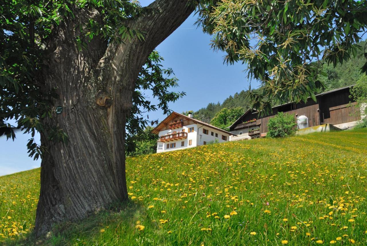 Апартаменты Wohrmannhof Фельдтурнс Экстерьер фото